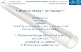 SUPERB IR DETAILS: SC MAGNETS P.Fabbricatore INFN  Genova on behalf