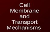 Cell Membrane and Transport Mechanisms
