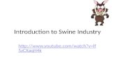 Introduction to Swine Industry