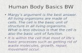 Human Body Basics BW