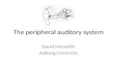 The peripheral auditory system