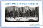 Snow Pack in Fire Regimes