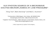 VUV PHOTON SOURCE OF A MICROWAVE EXCITED MICROPLASMAS  AT  LOW PRESSURE*