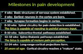 Milestones in pain development