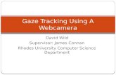 Gaze Tracking Using A  Webcamera