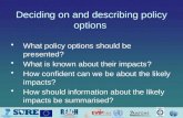 Deciding on and describing  policy options
