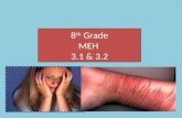 8 th  Grade MEH  3.1 & 3.2