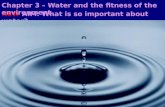 NEW  AIM: What is so important about water?