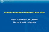 Academic Promotion in Different Career Paths