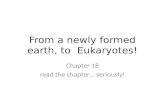 From a newly formed earth, to  Eukaryotes!