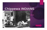 Chippewa INDIANS