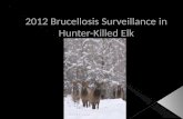 2012 Brucellosis Surveillance in Hunter-Killed Elk