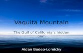 Vaquita  Mountain