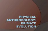 Physical Anthropology: primate evolution