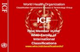 World Health Organization Classification Assessment Surveys & Terminology Group
