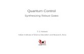 Quantum Control Synthesizing Robust Gates