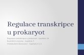 Regulace transkripce u prokaryot