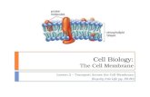 Cell Biology: The Cell Membrane