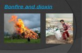 Bonfire and dioxin