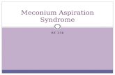 Meconium  Aspiration Syndrome