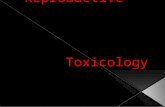 Reproductive                                             Toxicology