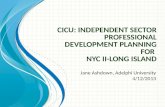 cIcu : Independent sector Professional  Development Planning for  NYC II-Long Island