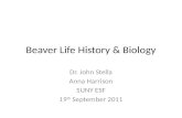 Beaver Life History & Biology