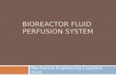 Bioreactor Fluid  Perfusion System