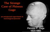 The Strange Case of  Phineas  Gage