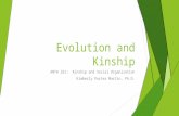 Evolution and Kinshi p