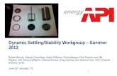 Dynamic Settling/Stability Workgroup – Summer 2013