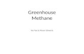 Greenhouse Methane