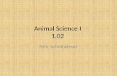 Animal Science I  1.02