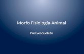 Morfo Fisiología Animal