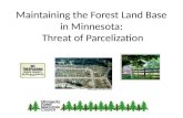 Maintaining the Forest Land Base in Minnesota:  Threat of Parcelization