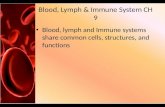Blood, Lymph & Immune System CH 9