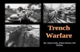 Trench  Warfare