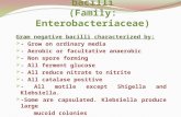 Enteric Gram-negative bacilli (Family:  Enterobacteriaceae )