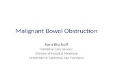 Malignant Bowel Obstruction