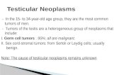 Testicular  Neoplasms