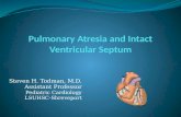Pulmonary  Atresia  and Intact Ventricular Septum
