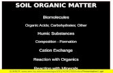 SOIL ORGANIC MATTER Biomolecules Organic  Acids; Carbohydrates; Other Humic  Substances