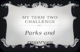 My term two challenge
