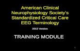 American Clinical Neurophysiology Societyâ€™s Standardized Critical Care EEG Terminology