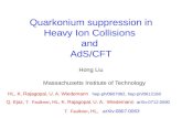 Quarkonium  suppression in Heavy Ion Collisions  and  AdS /CFT