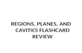 REGIONS, PLANES, AND CAVITIES FLASHCARD REVIEW