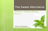 Stevia  rebaudiana Bertoni