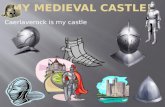 My medieval castle !!