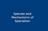 Species and Mechanisms of Speciation