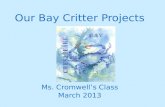 Our Bay Critter Projects